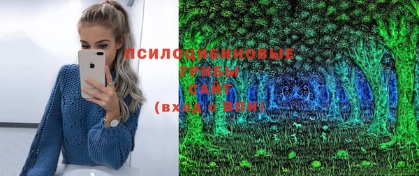 шишки Аркадак