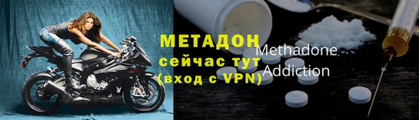 шишки Аркадак