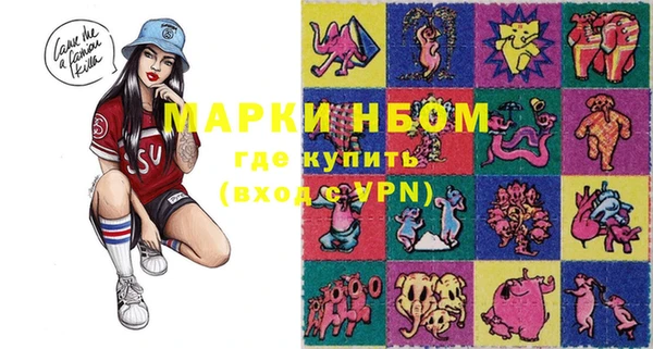 шишки Аркадак