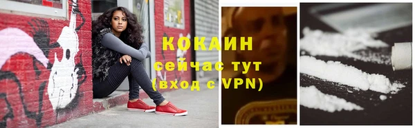 индика Армянск