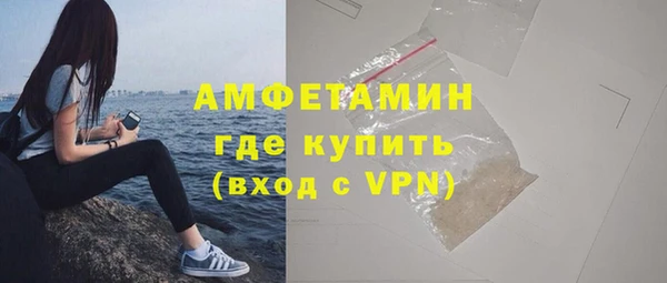 шишки Аркадак