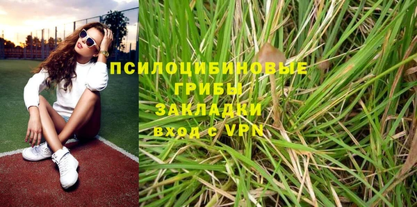 шишки Аркадак