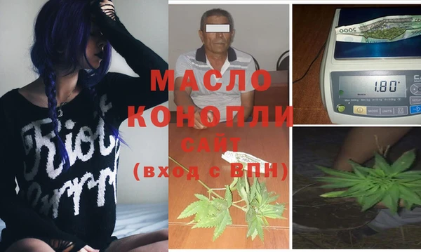 индика Армянск