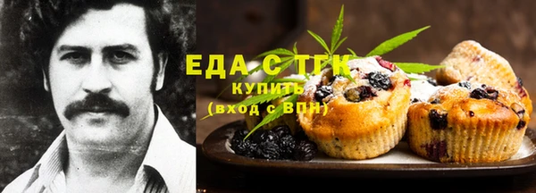 индика Армянск