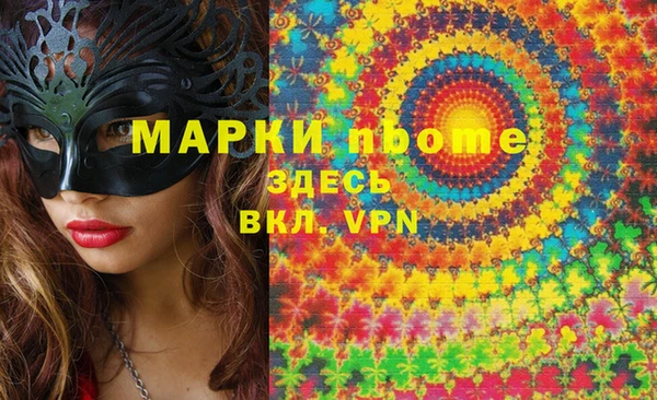 шишки Аркадак