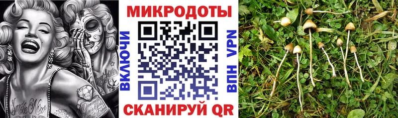 Галлюциногенные грибы GOLDEN TEACHER  купить закладку  Спасск-Рязанский 